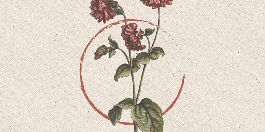 Un fiore con tre corolle rosse e un lungo stelo verde, circondato da un cerchio spezzato