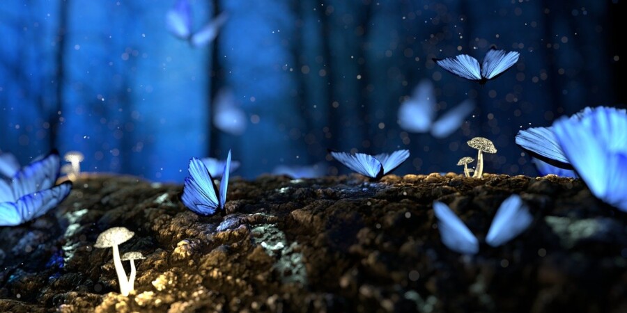 Delle farfalle azzurre si posano su una montagnetta di terra. Sullo sfondo, una foresta dai torni blu